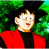 Goku xeno 11