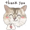 @KiwiBritishCat 9