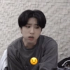 Stray kids Emoji 1 18