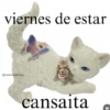 viernes de estar @kawaiiposting cansaita