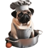 Pug Dogs 25