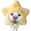 Miaw miaw 1 16
