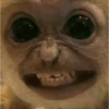Macaco 8