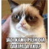 Stiker kucing imut  24