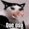 Memes de gatos 🐱😂 7