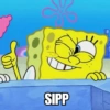 SIPP