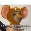 Memes 33 11