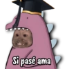 Monitos para graduados 🎓 9