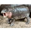 Moo Deng 16