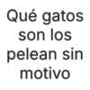 Qué gatos son los pelean sin motivo