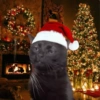 Moods natalinos - pets  6