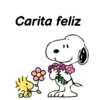 Carita feliz