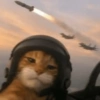 Gatitos apocalípticos 🙀 10
