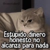 @rose.stickers1 Estúpido dinero honesto no alcanza para nada