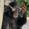 Monos graciosos😝 9