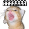 Memes Pal Grupo 2🗣️ 6