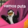 vamos puta