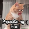 Papasito ay q rico!