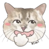 @KiwiBritishCat 15