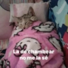 La de chambear no me la sé