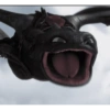 Toothless  20
