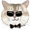 @KiwiBritishCat 19