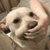 Comentarios de Tiktok 📱🤣 1 9
