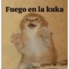 Memes 33 29