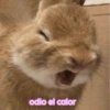 Stickers pa este calorón🥵🌞 5