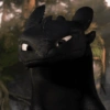 Toothless  13