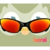 Duolingo 16