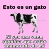 Animales Random🌸💥 16
