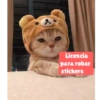 #Gatitos tiernos 😍❤️ 9