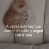 A veces solo hay que dormir en bolita y seguir con la vida