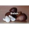 Salah