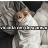 ERA IRONIA 7