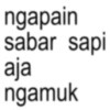 Anomali trend lucu  11