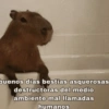 Animales Random🌸💥 8