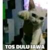 Aku jawaa 21