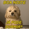 Moods: bom dia, tarde, noite 6