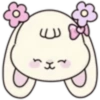 Cute bunny 🐾✨🐰🎀 14