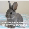 ✔️MEMESITOS QUE NECESITAS 🤭 15