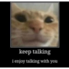Talking cat 23