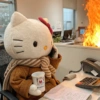 Hello Kitty 17
