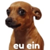 MEMES ENGRAÇADOS 🤣 8