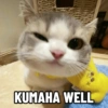Kucink bucin lagi 7