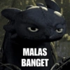 Toothless & Lightfury 10
