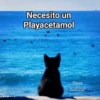 Necesito un Playacetamol nena Salazar