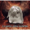 @Harley_Stickers Lo siento, estoy ovulando