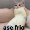 Frío ✨❄️☃️MEMES 18